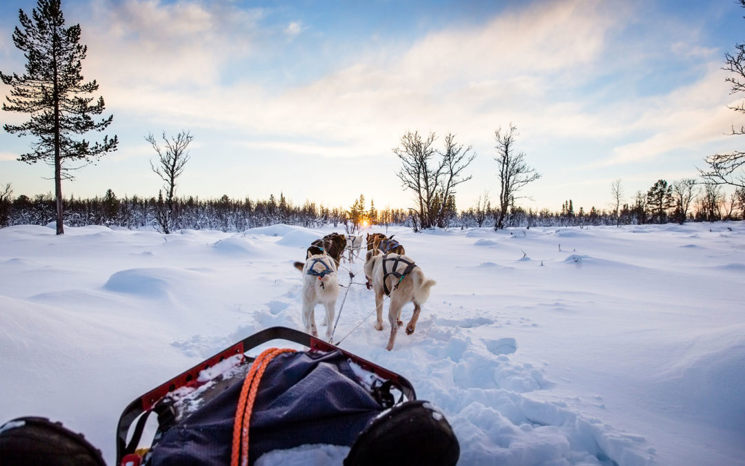 Aventure hivernale dans les rocheuses canadiennes