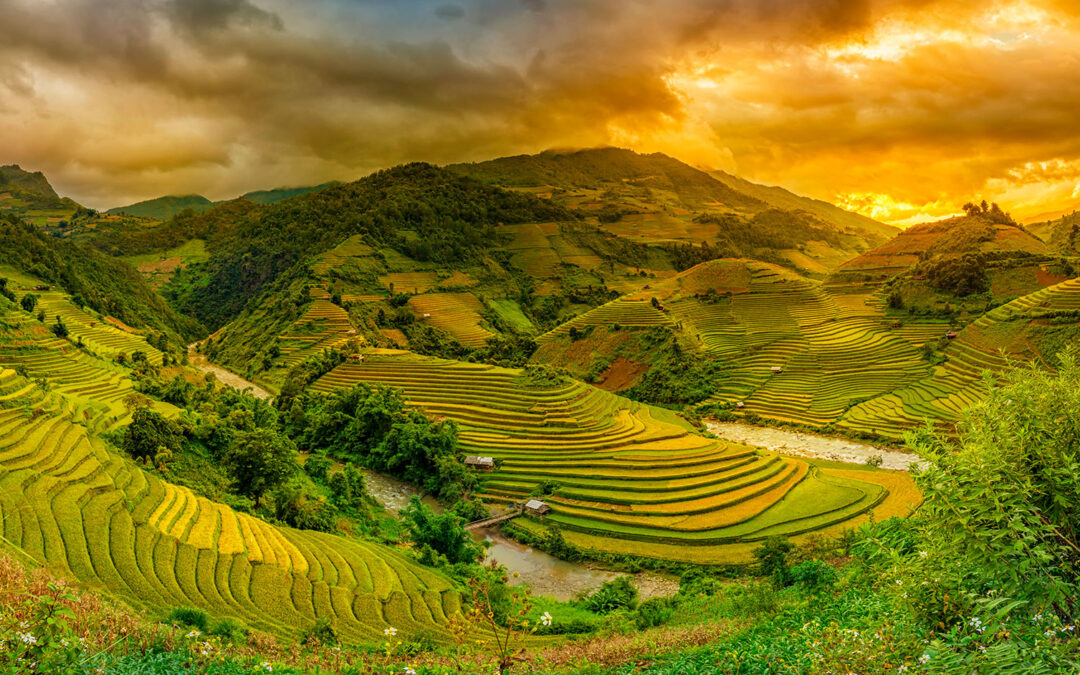 Vietnam – A la rencontre des locaux