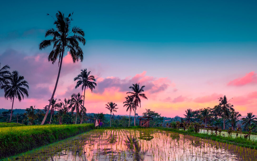Notre sélection Bali Indonésie