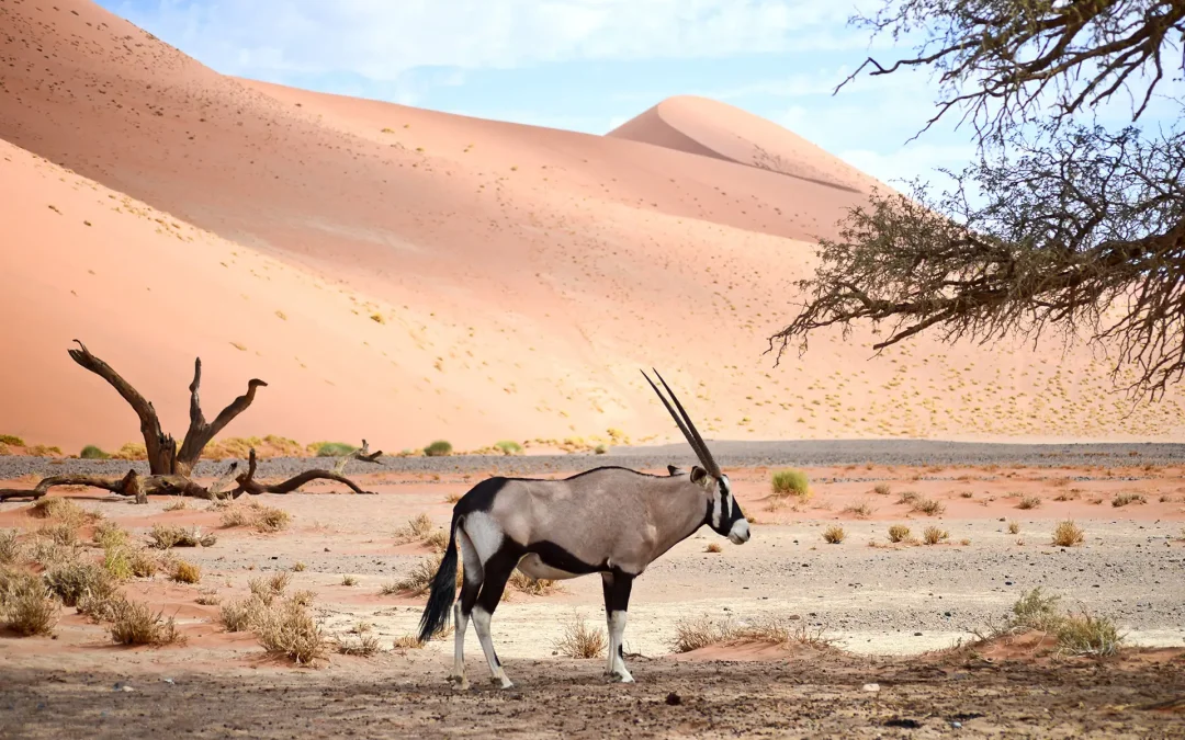 Namibie & Botswana