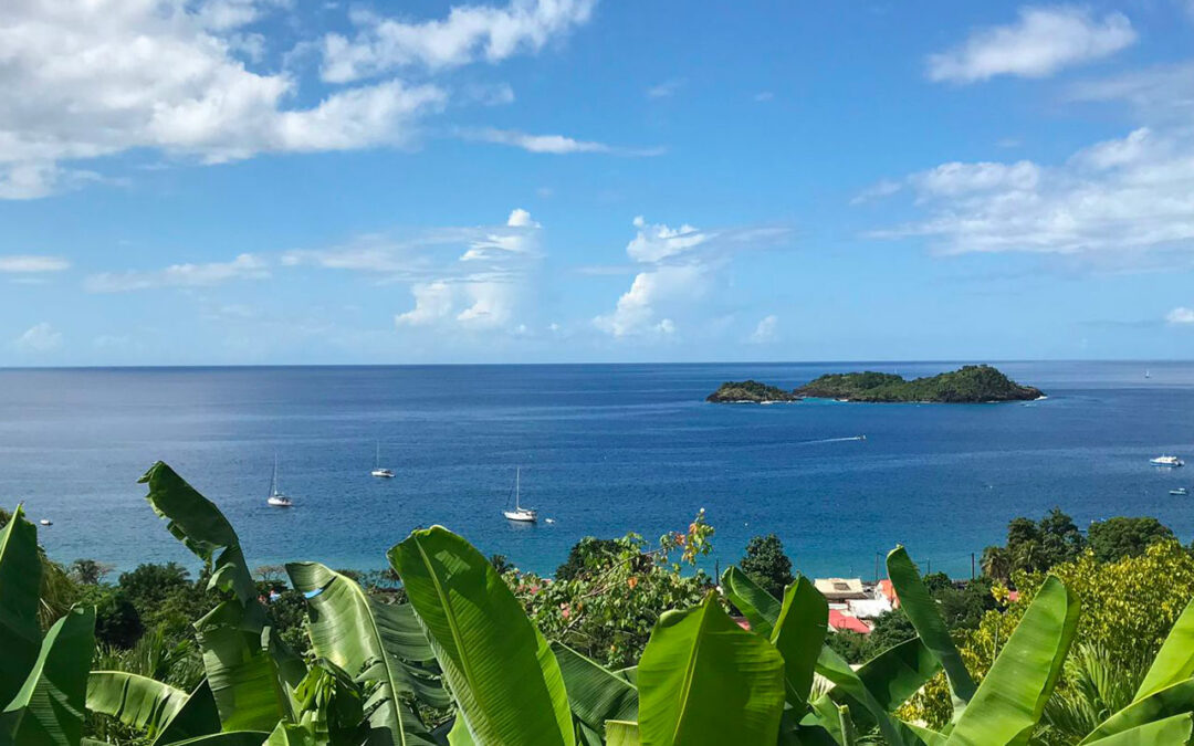 Nos expériences – Christine Giner en Guadeloupe