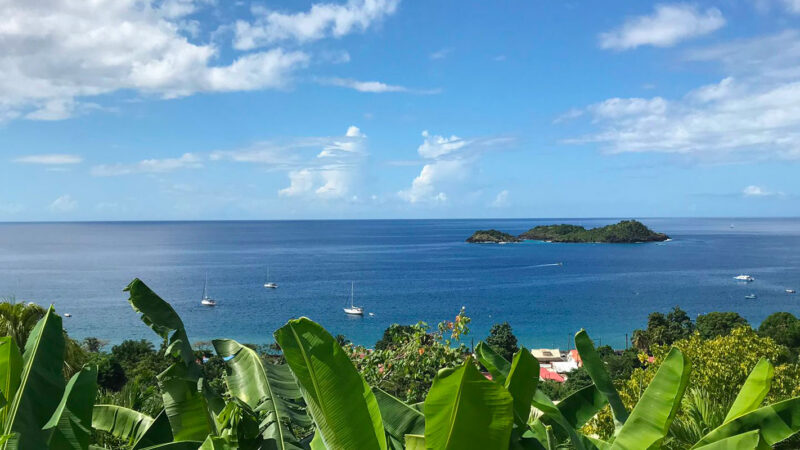 Nos expériences – Christine Giner en Guadeloupe