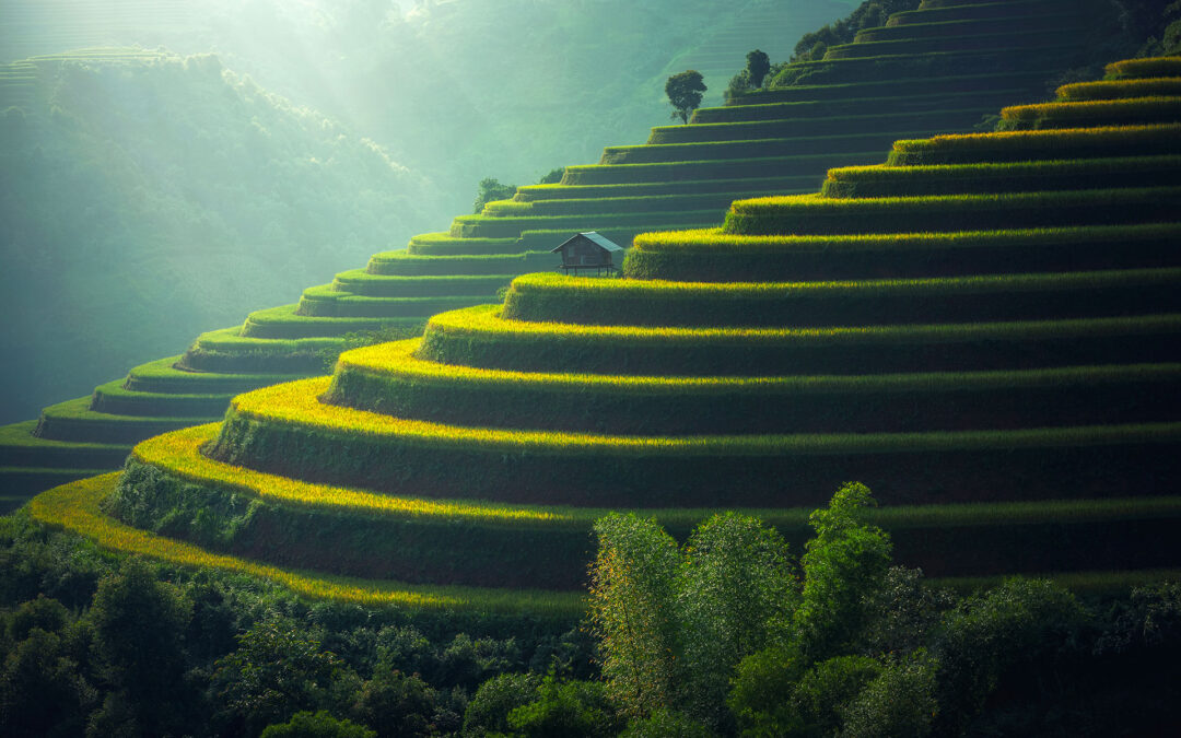 Vietnam & Cambodge