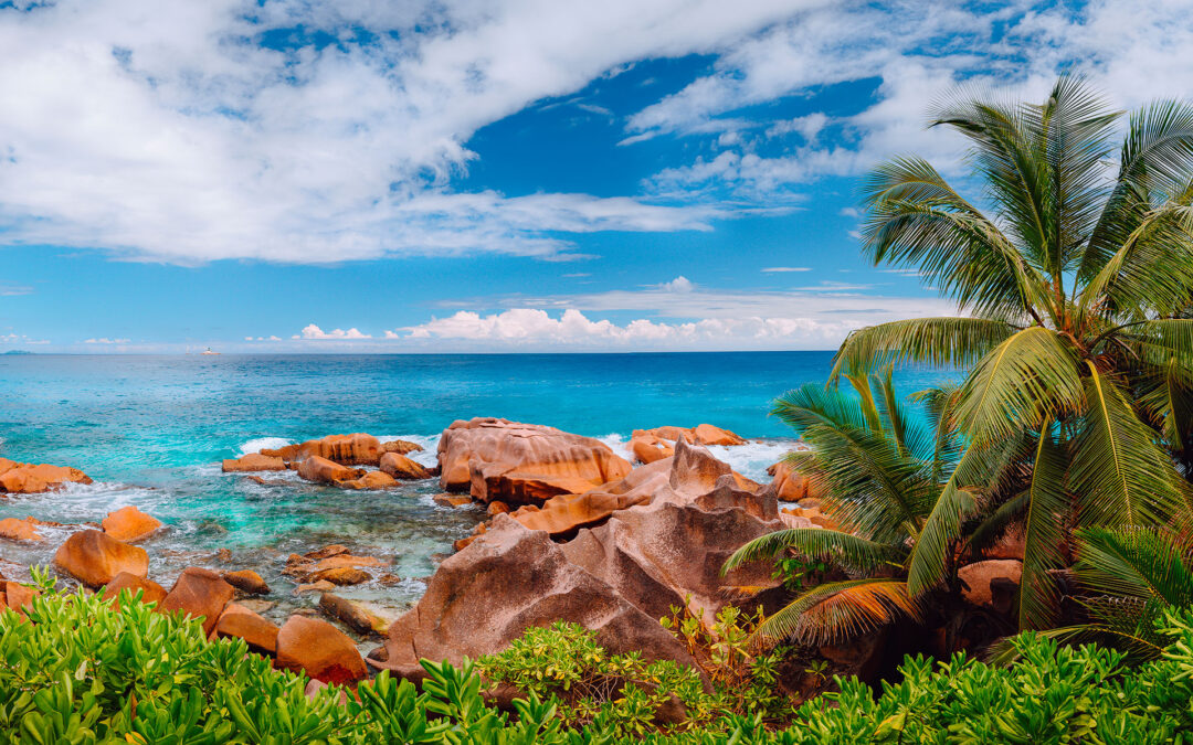 Offres spéciales Seychelles