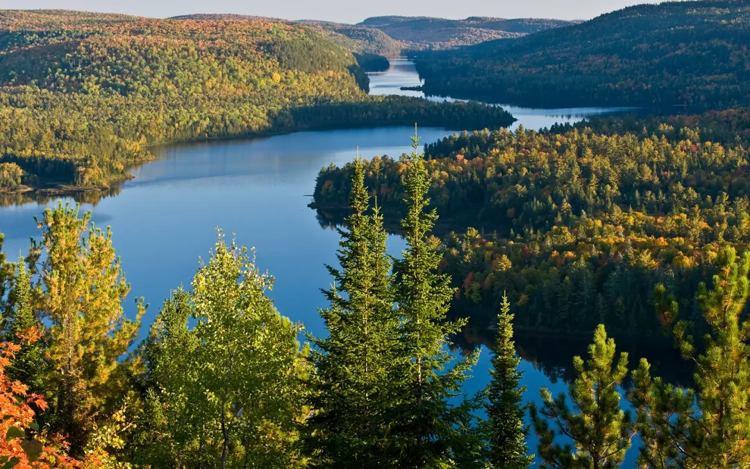 Envolez-vous vers le Québec !