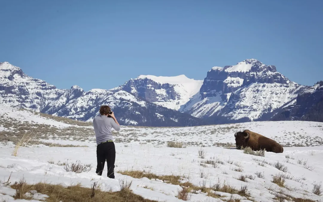 Randonnées au cœur de Yellowstone