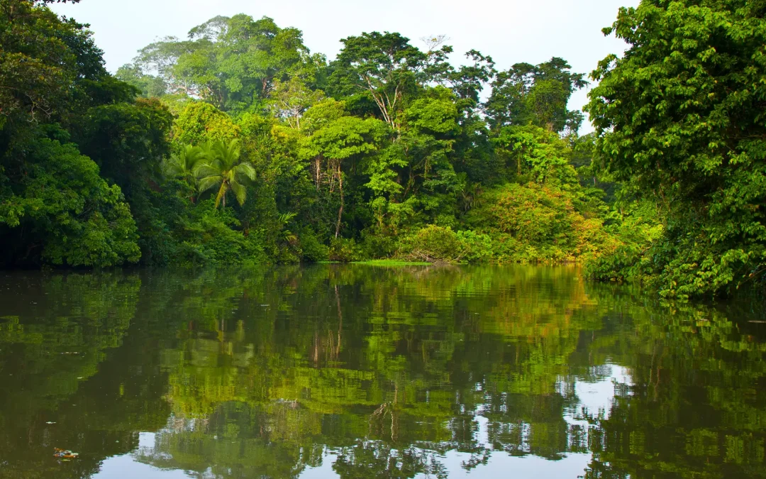Costa Rica – Pura Vida en petit groupe