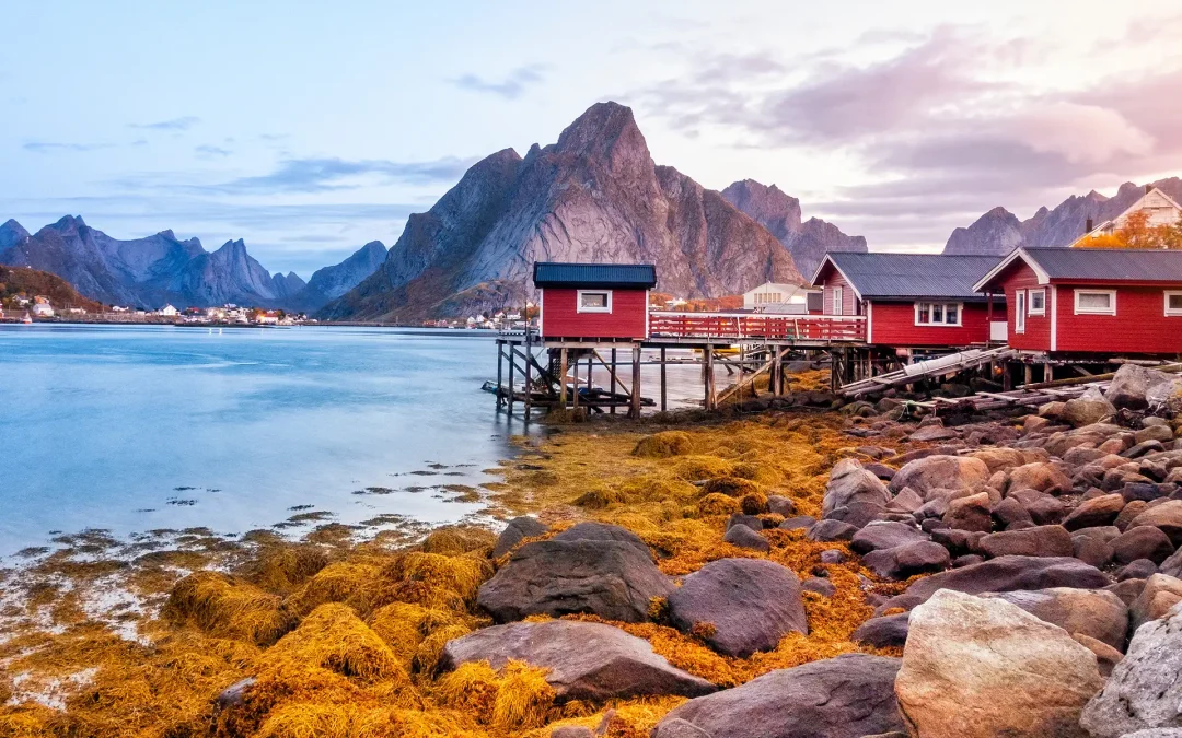 Les Lofoten au rythme des saisons avec PONANT