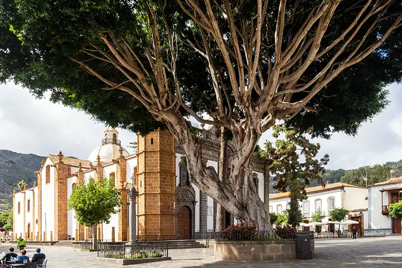 Vue sur la place principale du village de Teror avec son église et un arbre centenaire.