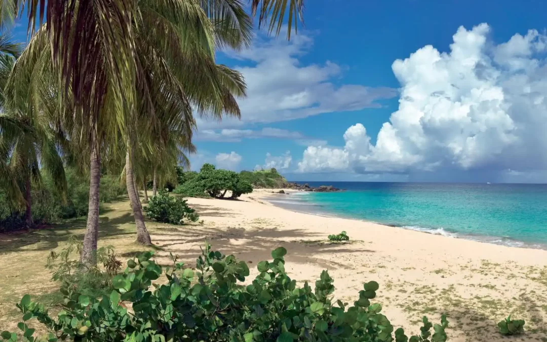 Playa Orient Bay : évasion tropicale à Saint-Martin