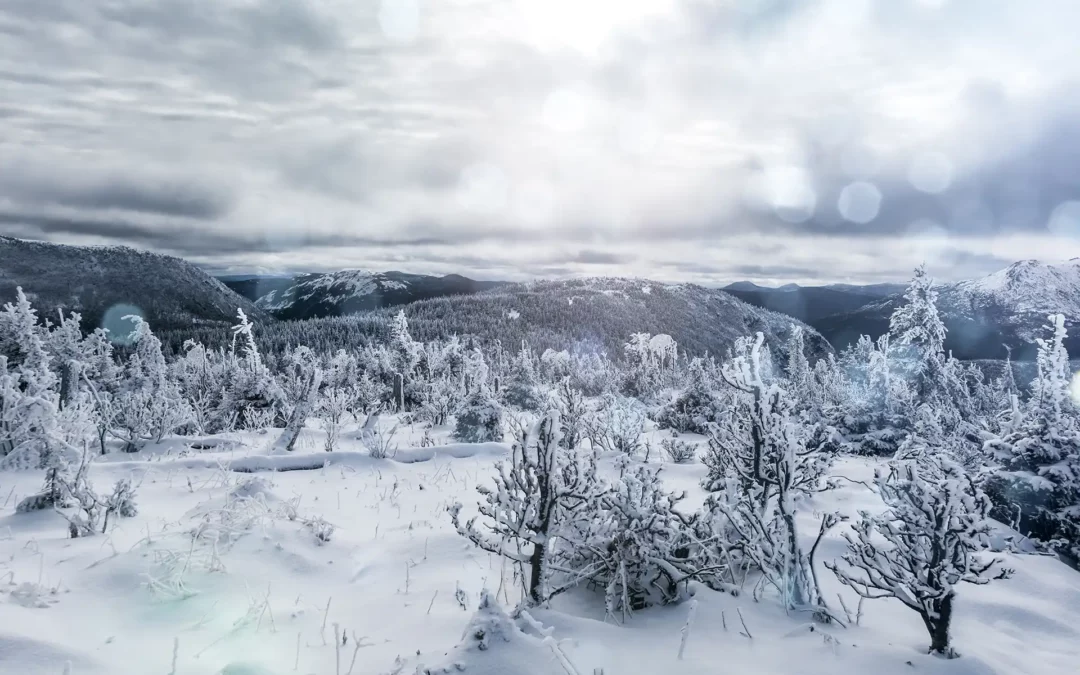 Au Cœur de l’Hiver : Québec et Saguenay