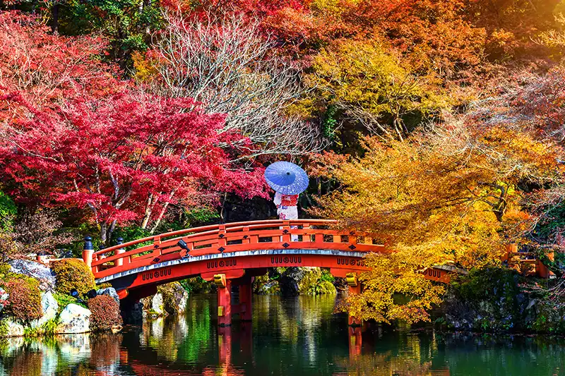 Pont rouge Daigo-ji à Kyoto en automne