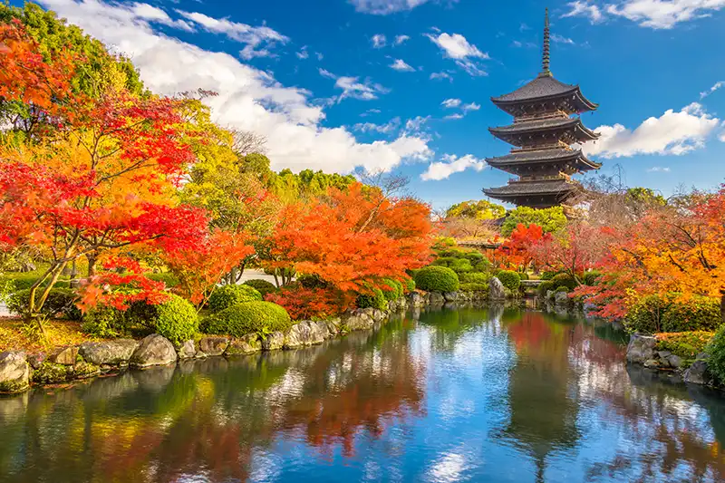 Pagode To-ji à Kyoto – Couleurs d’automne Pagode To-ji à Kyoto entourée d’érables rouges