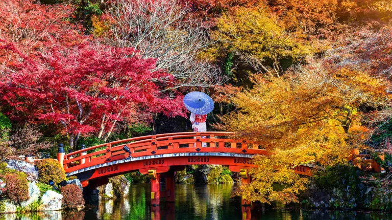 Immersion au Japon en petit groupe