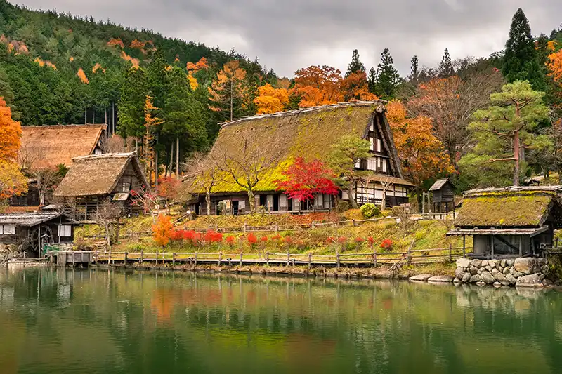 Maisons en toit de chaume à Shirakawago Village traditionnel de Shirakawago à l’automne