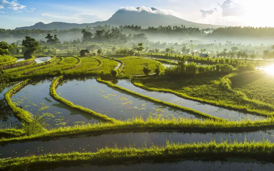 Singapour & Bali