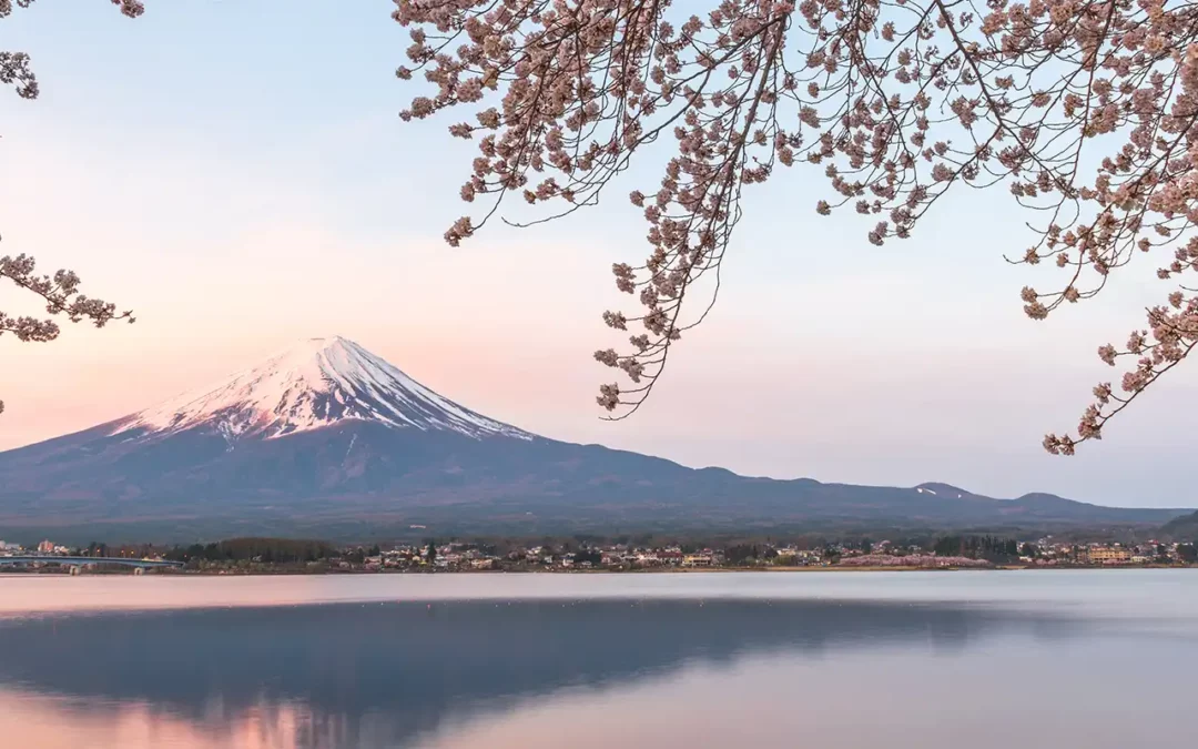 Le Japon prévoit une autorisation de voyage électronique