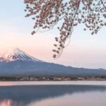 Vue sur le Mont Fuji au printemps avec cerisiers en fleurs au bord du lac