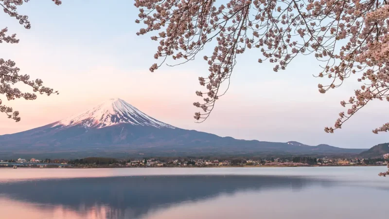Le Japon prévoit une autorisation de voyage électronique