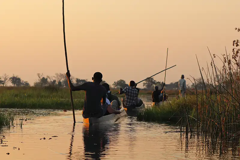 Balade en mokoro dans le delta de l’Okavango Excursion en mokoro dans le delta de l’Okavango au Botswana
