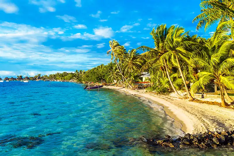 Plage et cocotiers – Îles Sous-le-Vent Plage bordée de palmiers dans les îles Sous-le-Vent en Polynésie française