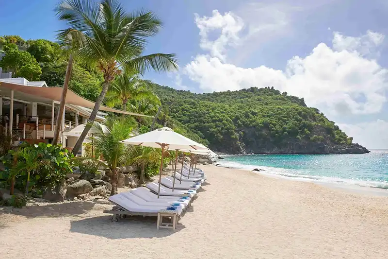 Transats installés sur le sable devant le Shellona Beach Club à Saint-Barthélemy