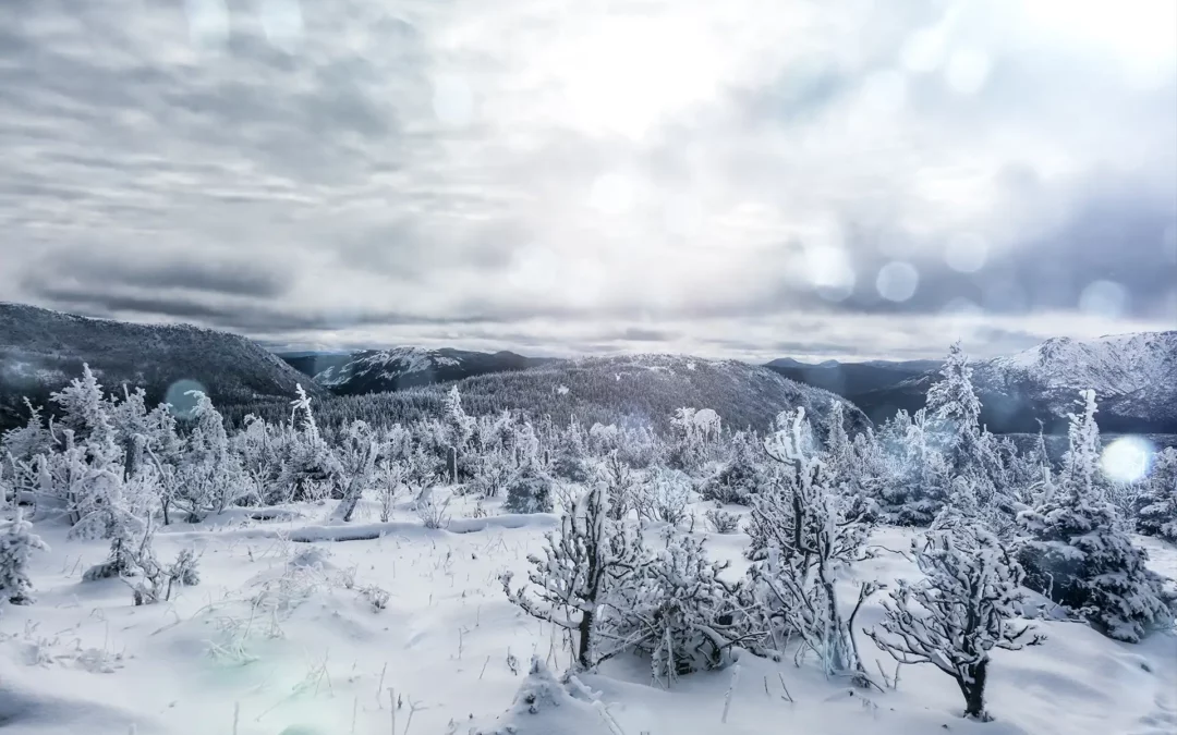 L’Est du Canada : la destination coup de cœur de l’hiver