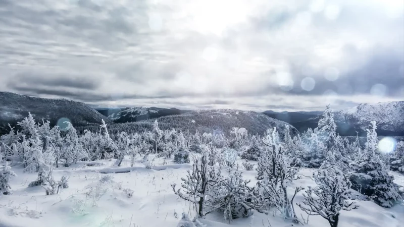 L’Est du Canada : la destination coup de cœur de l’hiver