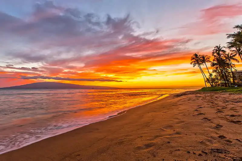 Plage de Maui à Hawaii au coucher du soleil avec palmiers et ciel orangé