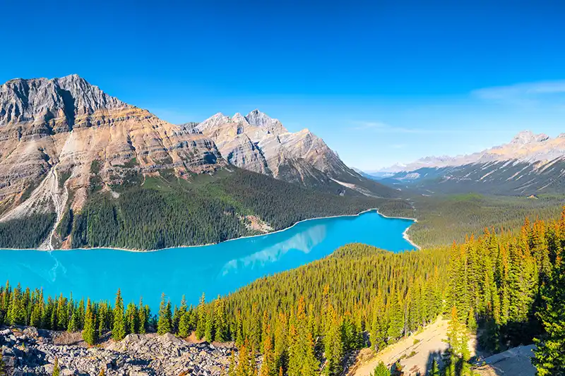 Peyto Lake dans les Rocheuses canadiennes