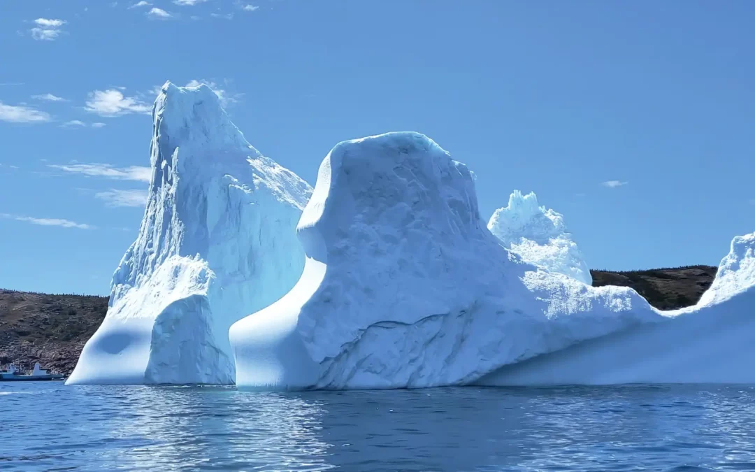 Canada – Terre-Neuve, l’île joyau