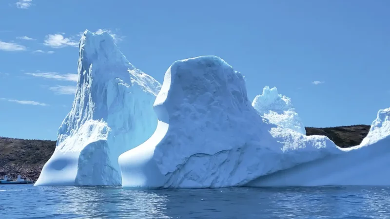Canada – Terre-Neuve, l’île joyau
