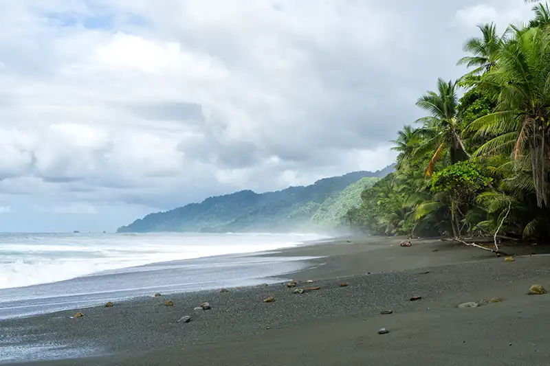 Côte Pacifique du Costa Rica et plage naturelle