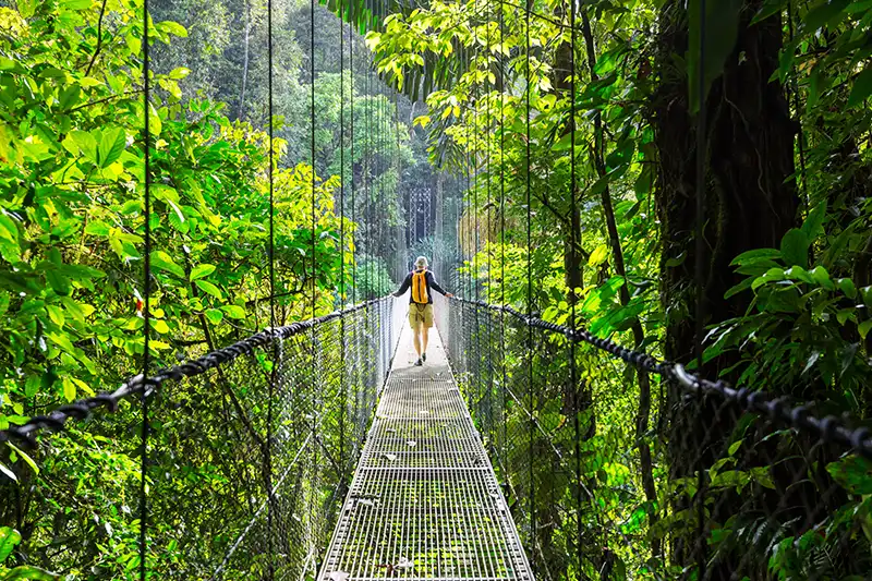Ponts suspendus dans la forêt tropicale du Costa Rica