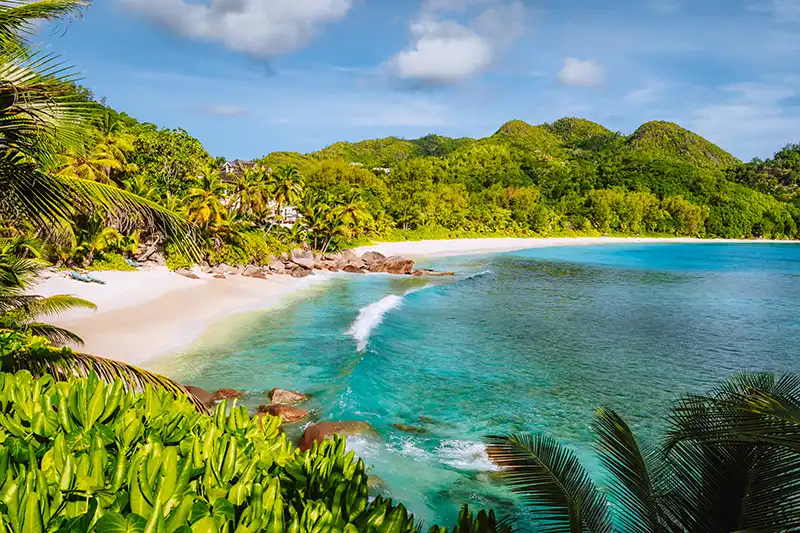 Plage de Mahé aux Seychelles bordée de végétation luxuriante