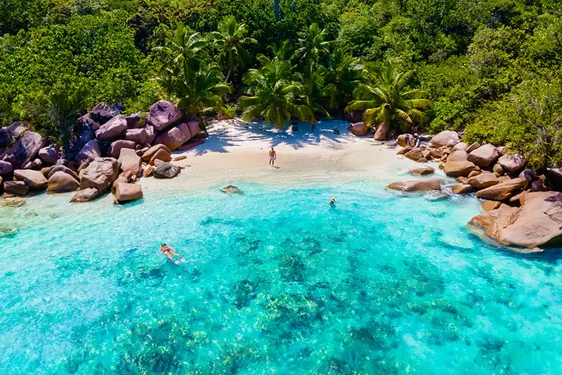 Plage turquoise aux Seychelles entourée de végétation tropicale