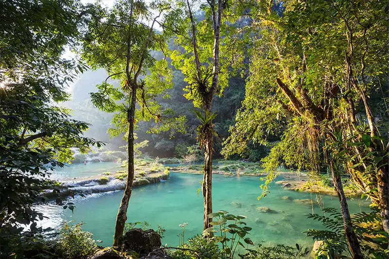 Paysage de jungle tropicale et rivière au Guatemala durant le circuit accompagné Découverte du Guatemala
