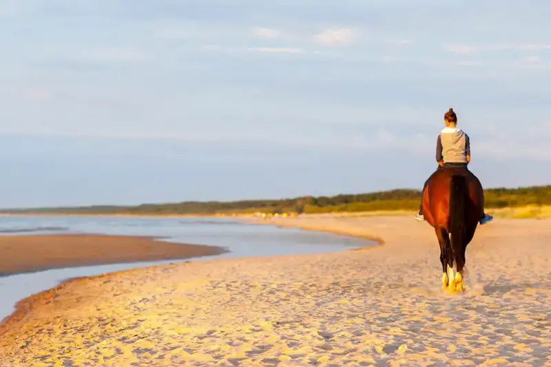 Balade à cheval sur la plage près de La Fiermontina Ocean au Maroc