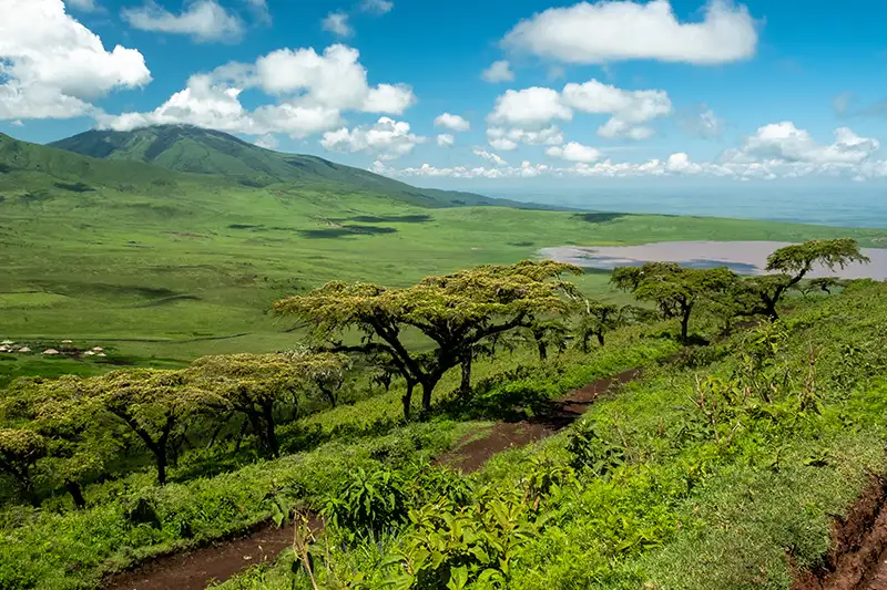 Paysage du cratère du Ngorongoro en Tanzanie