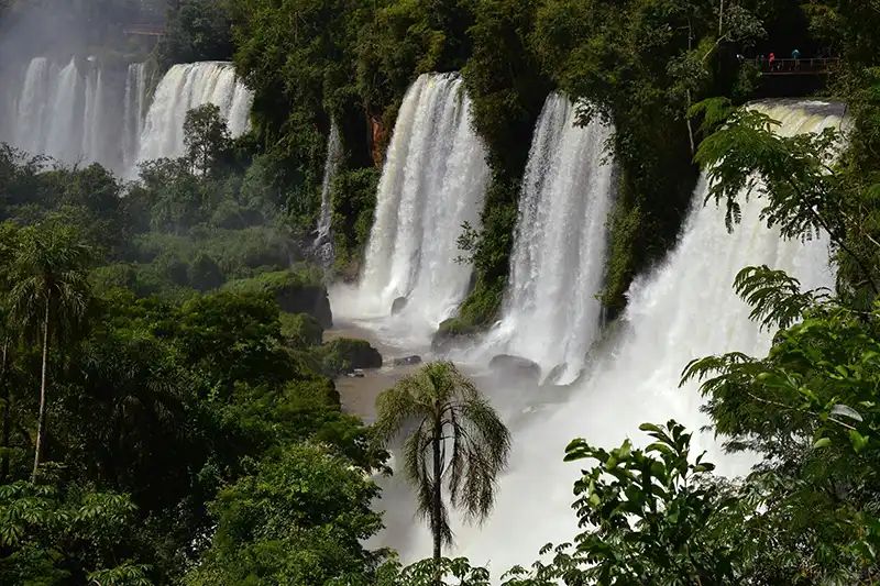 Chutes d’Iguazu au cœur de la forêt tropicale