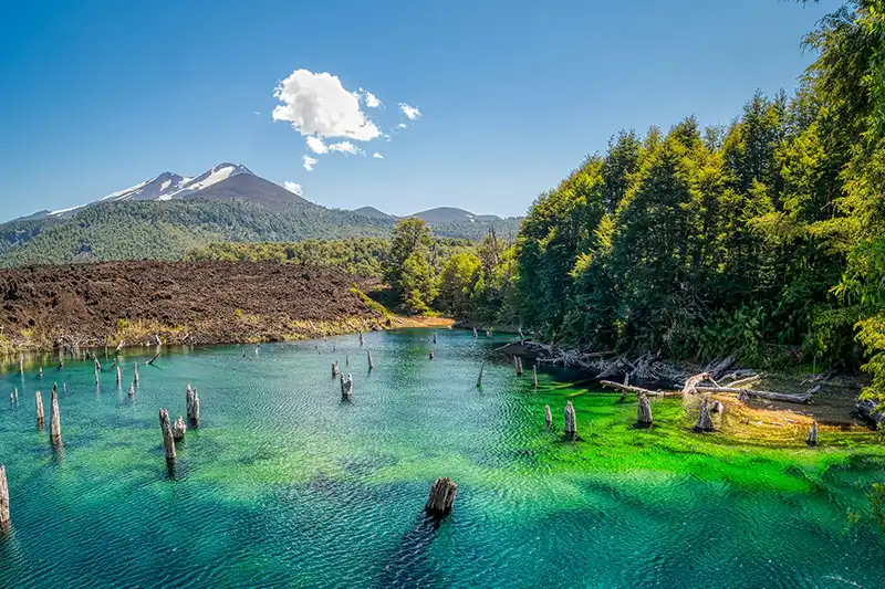 Lac et volcan dans le parc national Conguillío en Araucanie