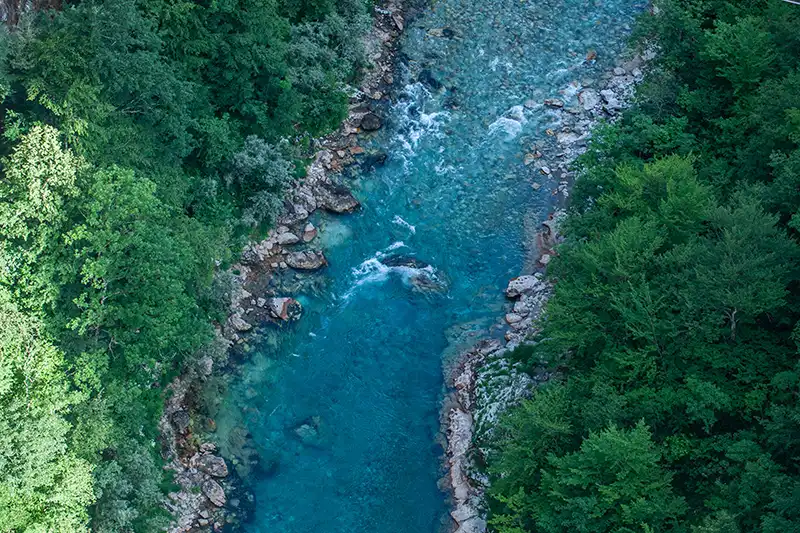 Rivière Tara aux eaux turquoise dans les montagnes du Monténégro