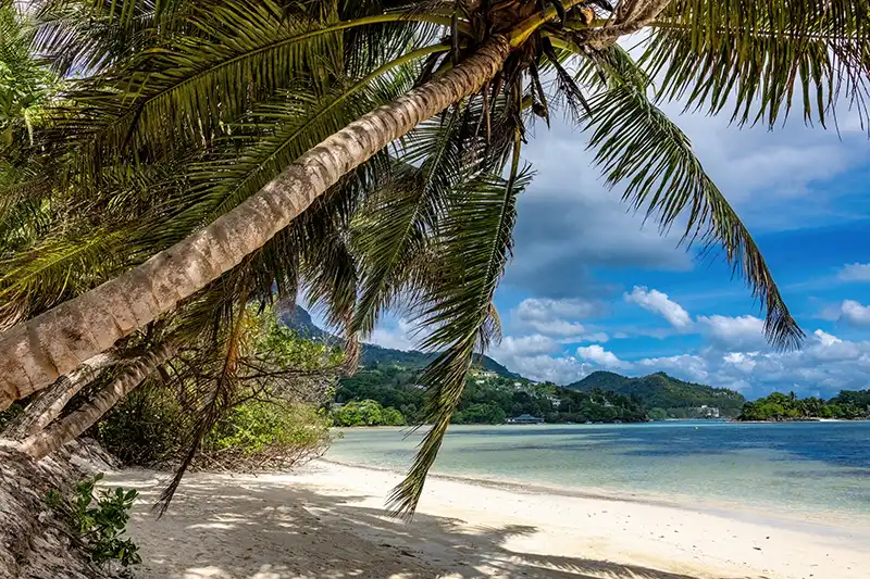 Plage tropicale à Mahé aux Seychelles