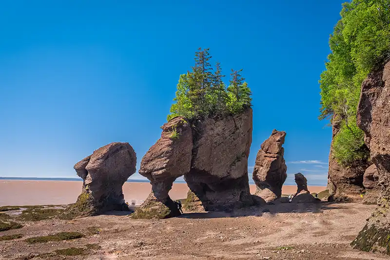 Formations rocheuses de Hopewell Rocks à marée basse dans la baie de Fundy, au Nouveau-Brunswick
